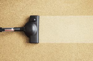 carpet company