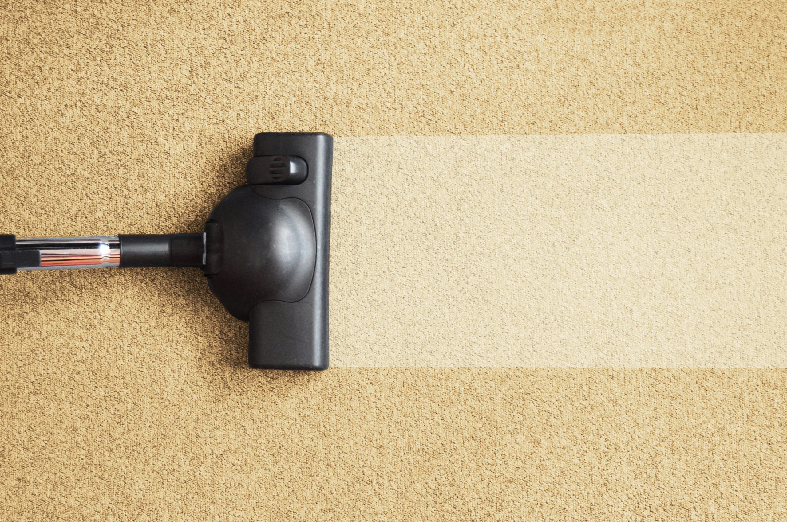 You are currently viewing How to Improve Indoor Air Quality by Replacing Carpet